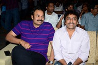 Celebrities at Julayi Audio Launch